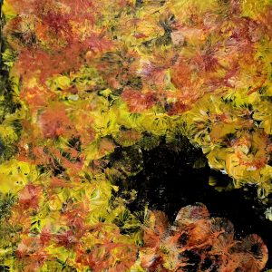 A8 - Flowers (Flow Art)