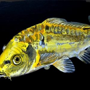 A9 - Fish 2 (Acrylic)