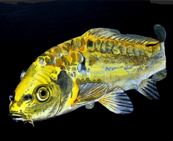 A9 - Fish 2 (Acrylic)